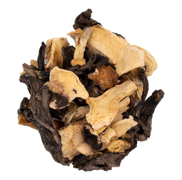 Wilde paddenstoelenmix gedroogd 500g