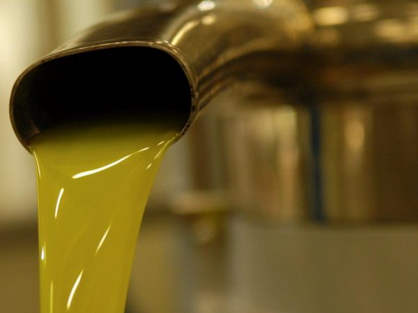 Het proces: olijfolie Calvi